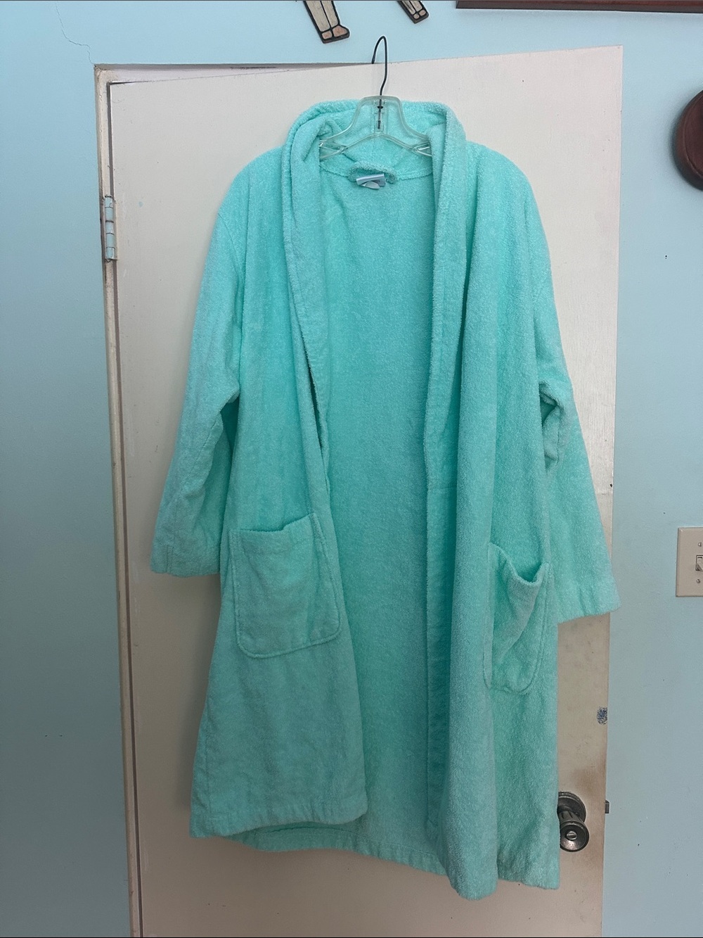 Plush Shawl Collar Robe in green/teal/blue